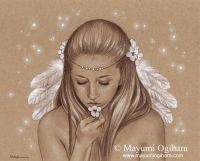 Feathers and Flowers